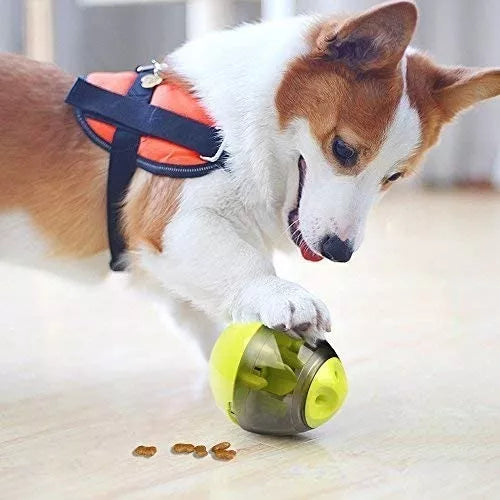 Pelota Dispensador Comida Snack mascota